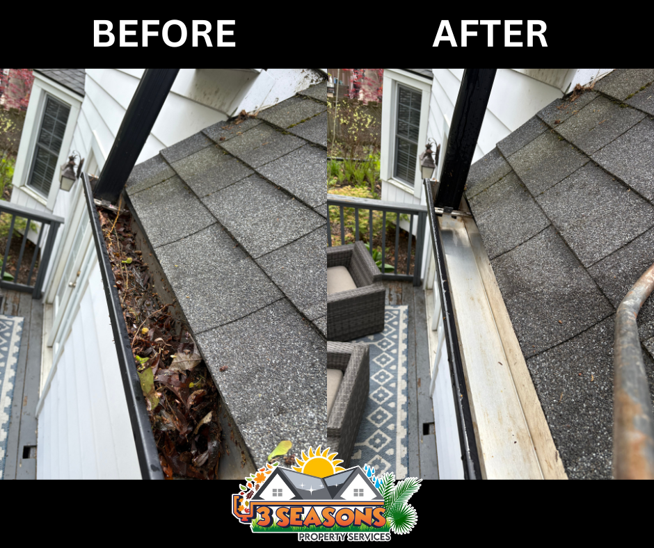 "Gutter cleaning services in Niagara Falls removing leaves"


